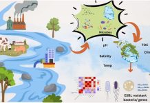 Bằng chứng đầu tiên về vi khuẩn kháng kháng sinh liên quan đến vi nhựa