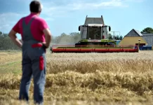 Đan Mạch chuyển đổi 15% đất nông nghiệp thành rừng để cắt giảm việc sử dụng phân bón