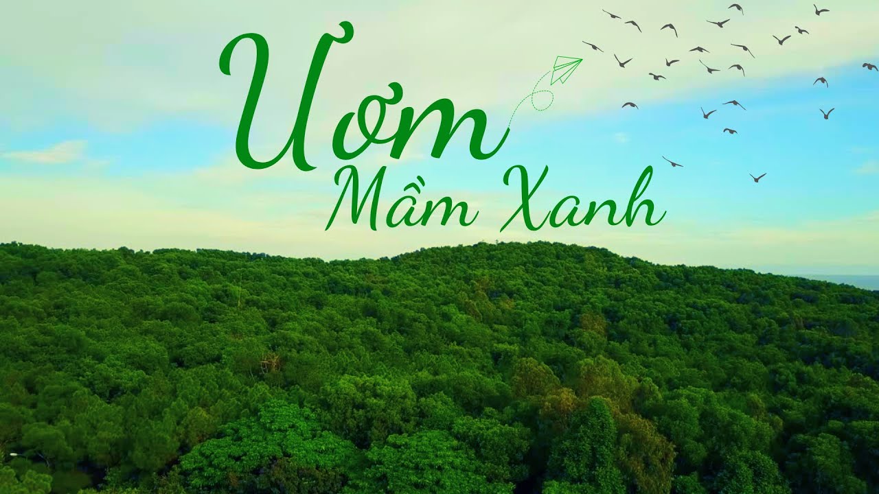 Ươm mầm xanh
