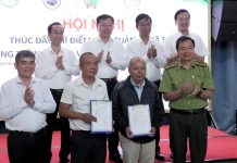 Số hóa vùng trồng rừng – tiêu chí quản lý rừng bền vững