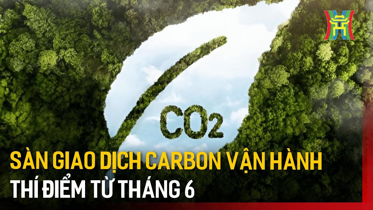 Sàn giao dịch carbon vận hành thí điểm từ tháng 6