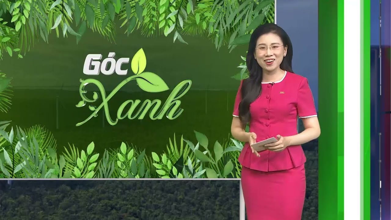 Khi trong đô thị có rừng