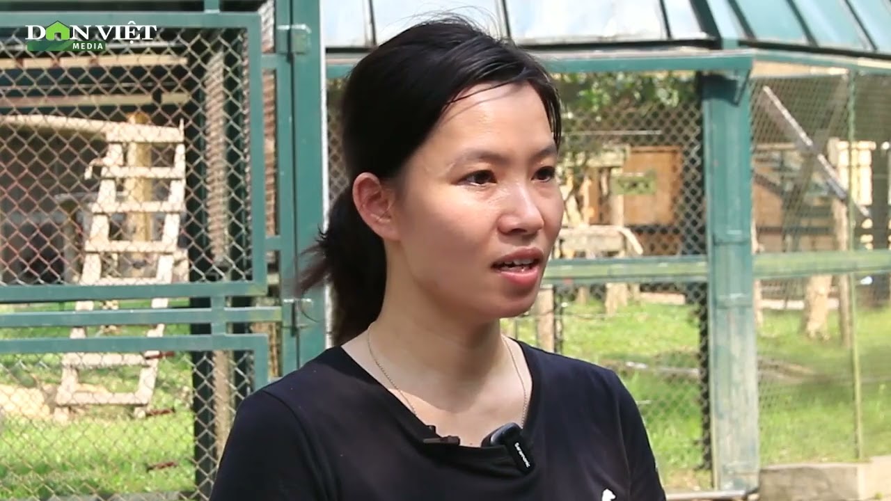 Cùng PanNature ghé thăm Trung tâm Cứu hộ gấu Tam Đảo