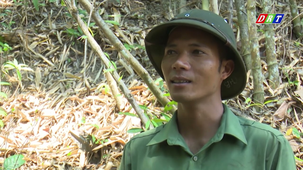Phục hồi đa dạng sinh học rừng tự nhiên