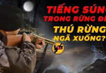 Điều tra: Bí ẩn tiếng động lạ giữa rừng đêm – Chuyện gì đang xảy ra ở Vườn Quốc gia Cát Tiên?