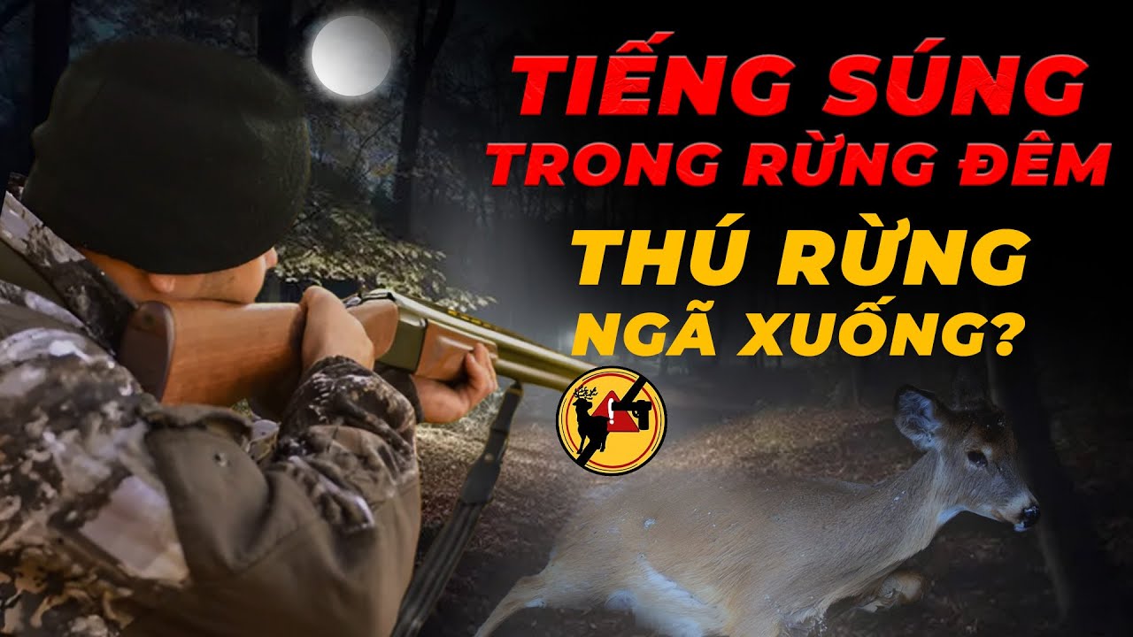 Điều tra: Bí ẩn tiếng động lạ giữa rừng đêm – Chuyện gì đang xảy ra ở Vườn Quốc gia Cát Tiên?