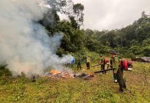 Diễn tập kỹ năng phòng cháy chữa cháy rừng tại Xuân Nha