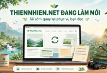 ThienNhien.Net hẹn ngày trở lại